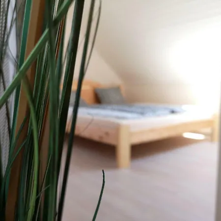 Zorka Apartman *